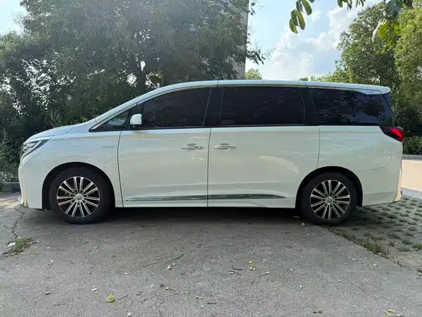 GAC Trumpchi M8 2021