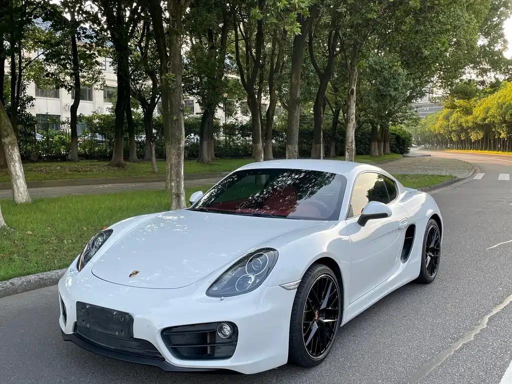 Porsche Cayman 2015 — фото 24