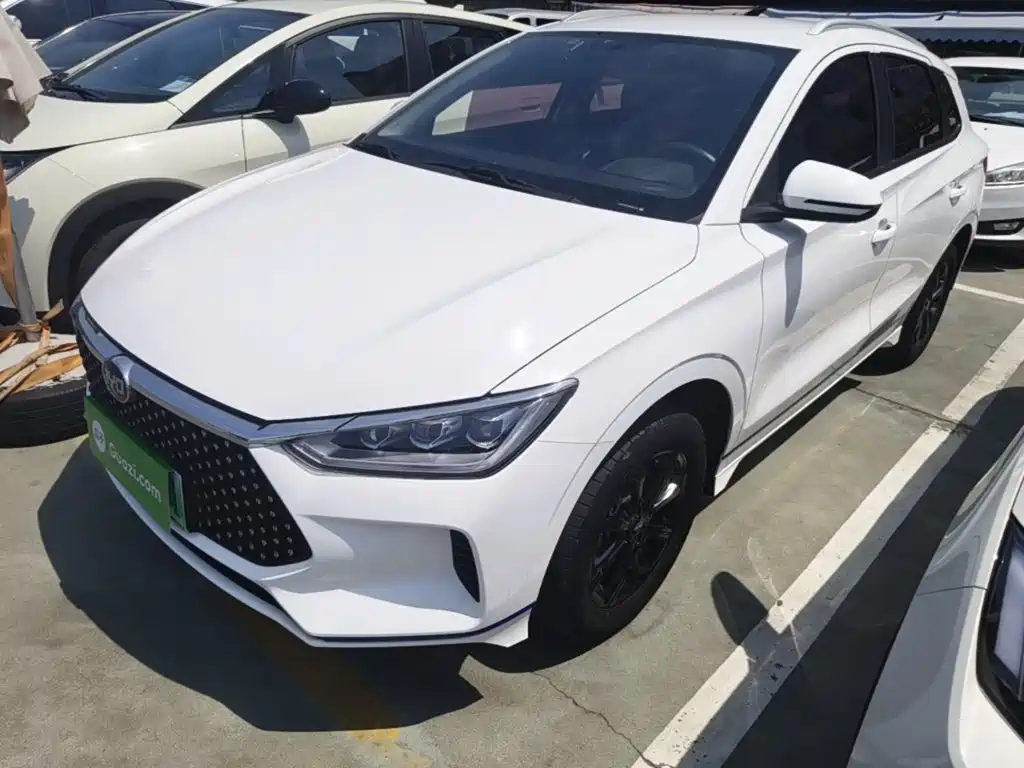 BYD e2 2021