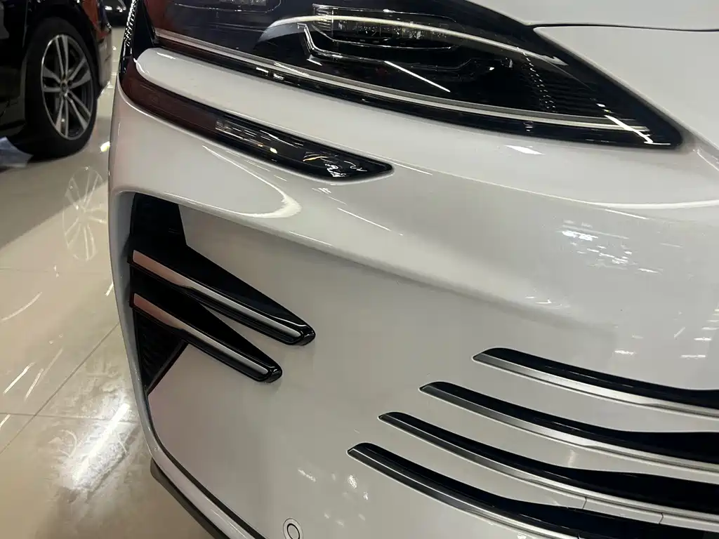 BYD Song PLUS New Energy 2024 — фото 11