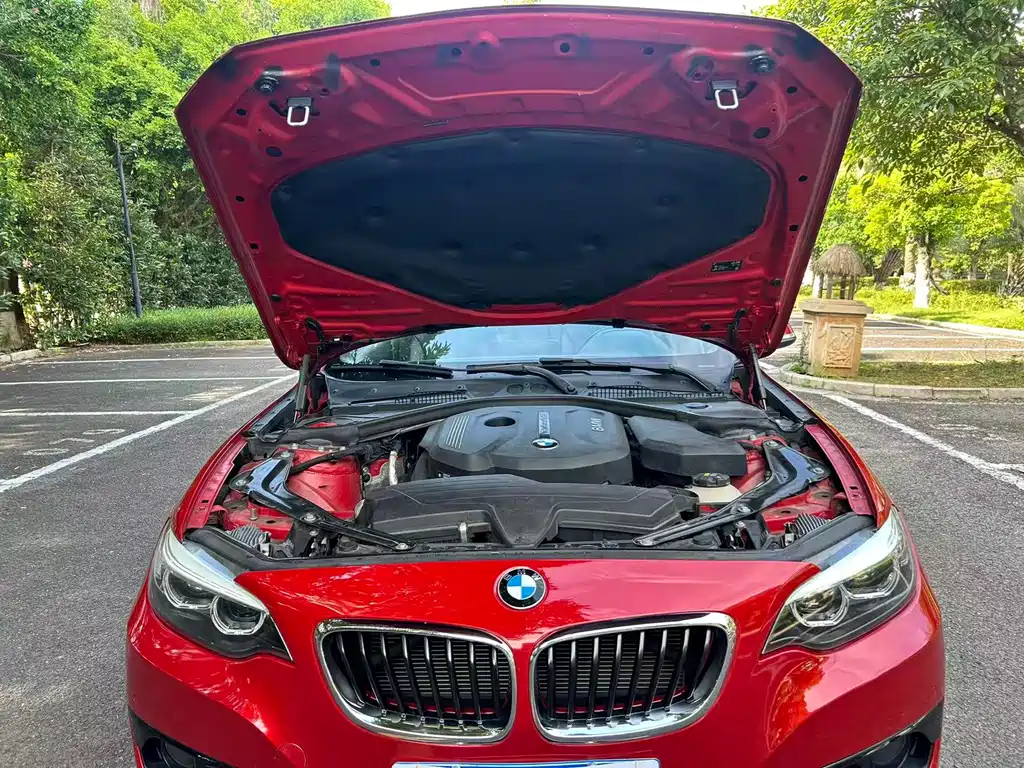 BMW 2 Series 2019 — фото 13