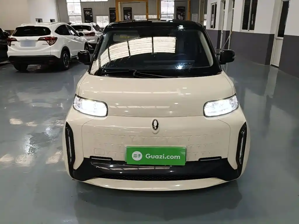 Ora White Cat 2022