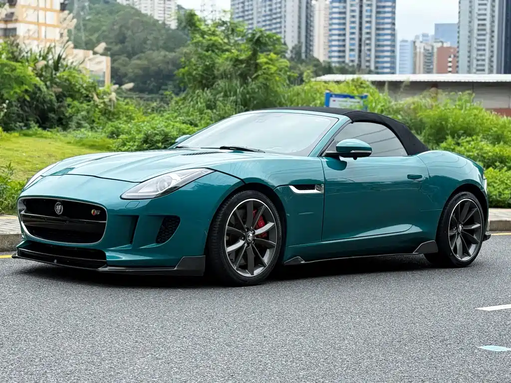 Jaguar F-TYPE 2014 — фото 17
