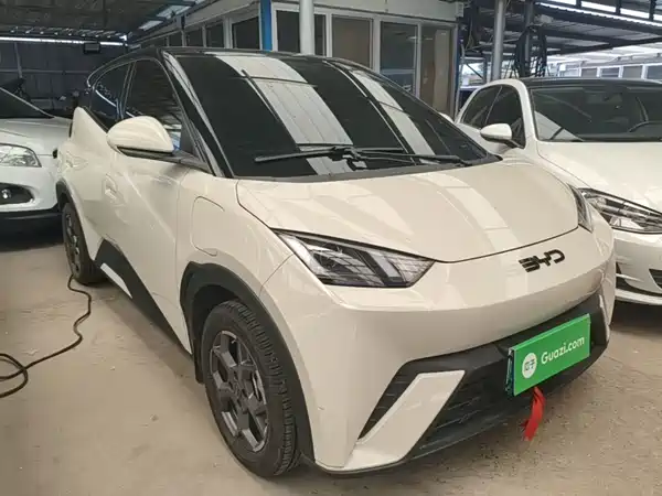 BYD Seagull 2025