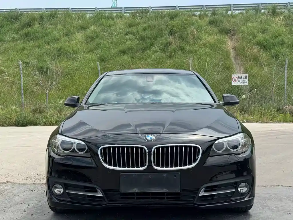 BMW 5 Series 2015 — фото 1