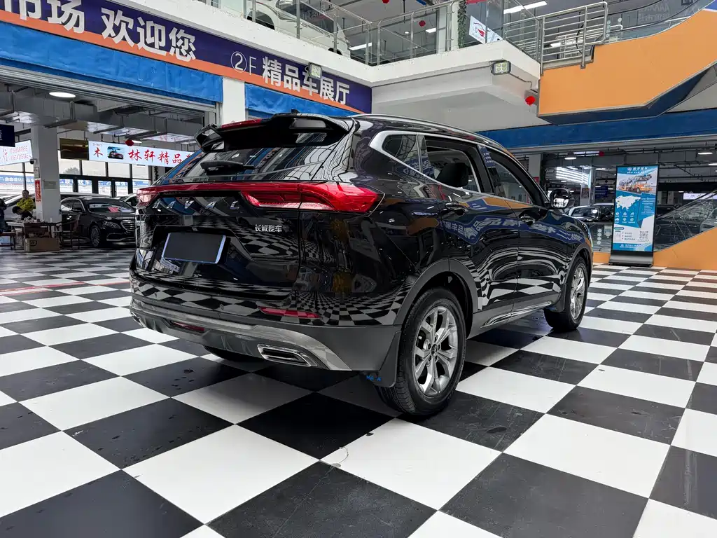 Haval H6 2023 — фото 19