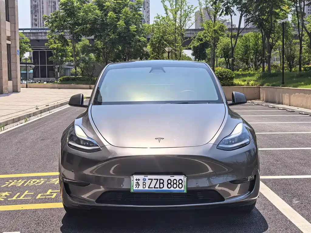 Tesla Model Y 2021 — фото 2