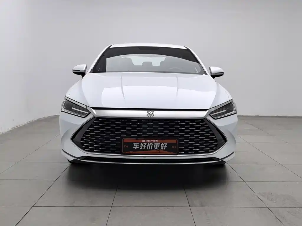 BYD Qin PLUS 2023 — фото 3