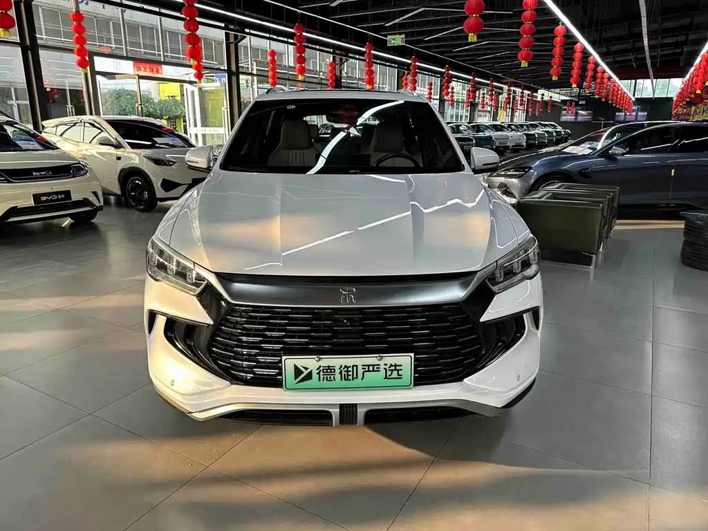 BYD Song Pro New Energy 2024 — фото 2