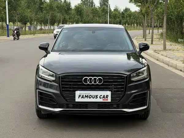 Audi Q2L 2019