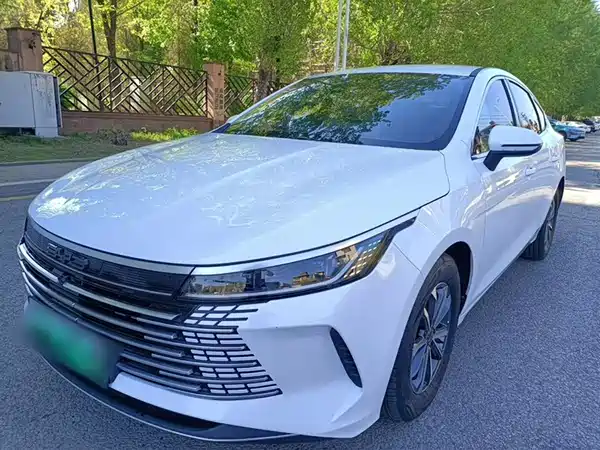 BYD Destroyer 05 2024
