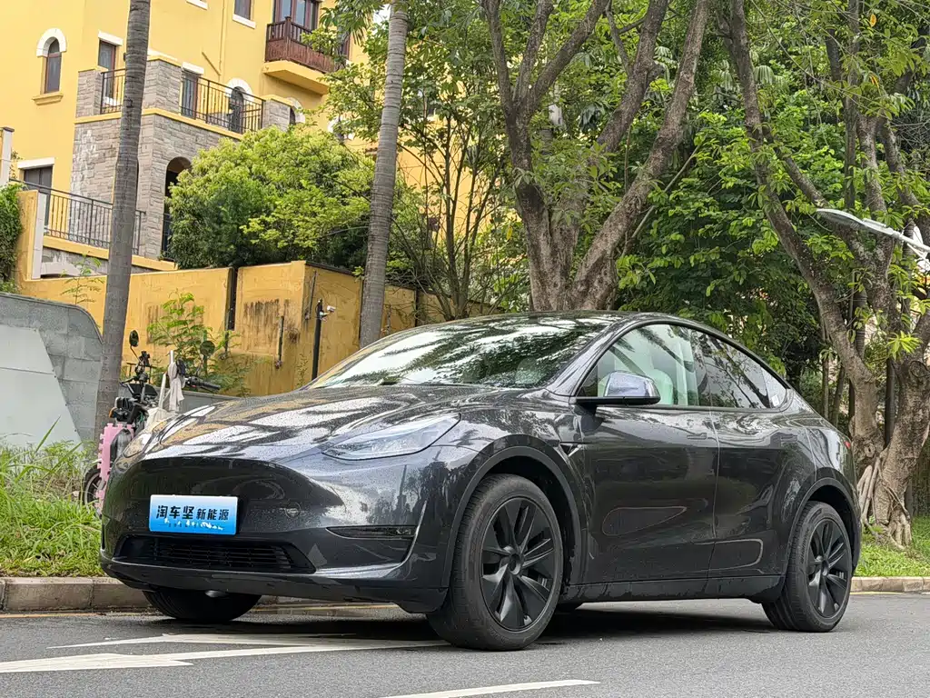 Tesla Model Y 2024 — фото 1