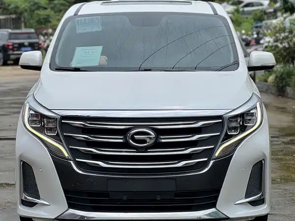 GAC Trumpchi M8 2020