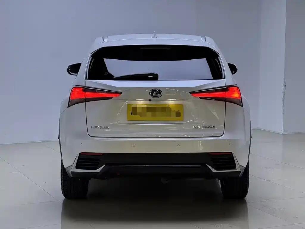 Lexus NX 2019 — фото 8
