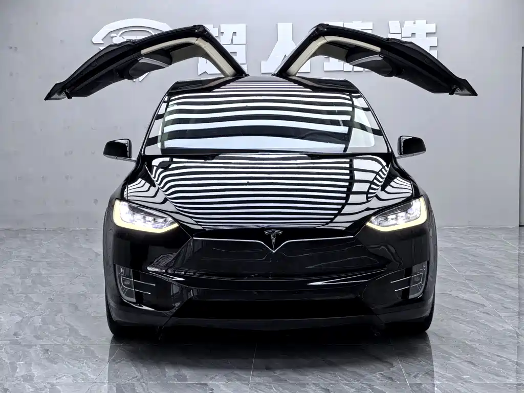 Tesla Model X 2017 — фото 2