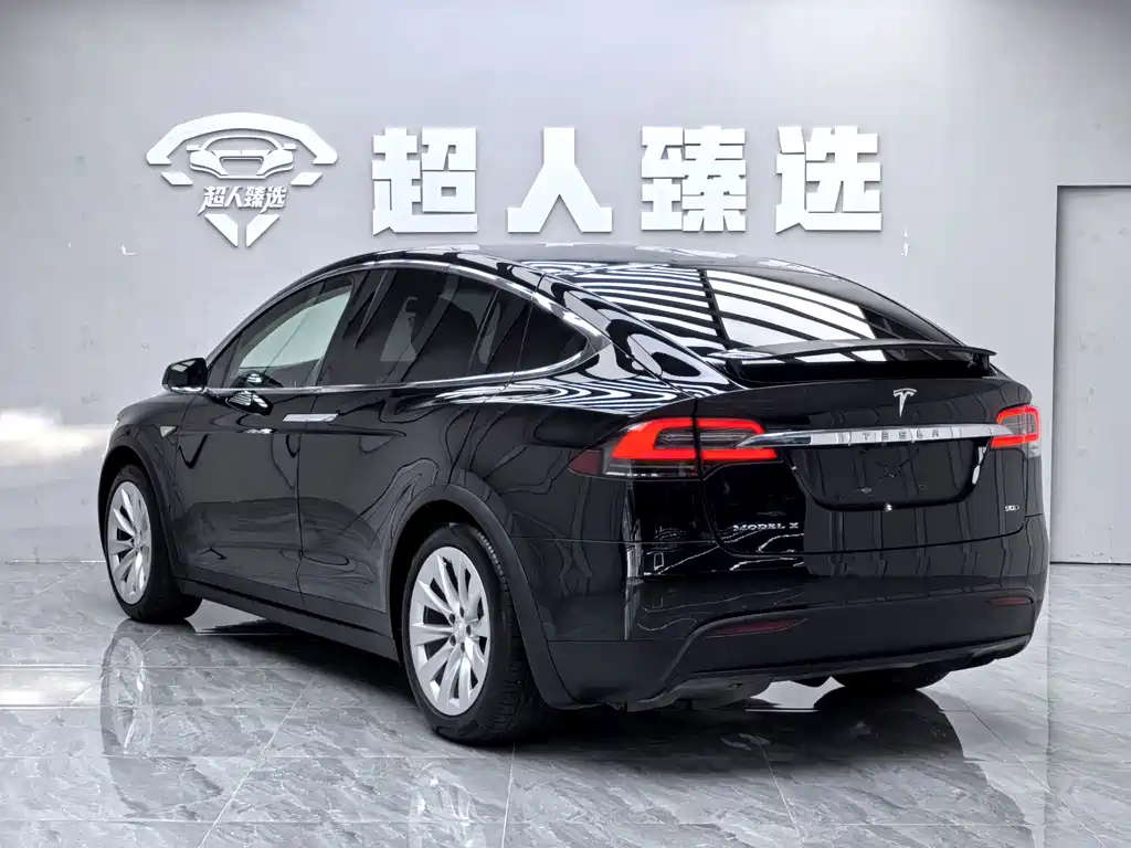 Tesla Model X 2017 — фото 14