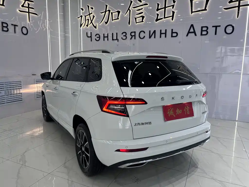 Skoda Karoq 2023 — фото 6