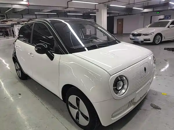 Ora Black Cat 2021