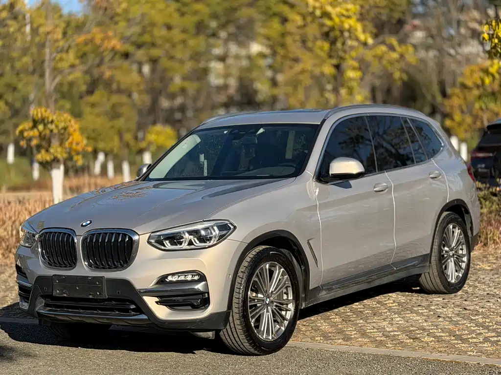 BMW X3 2019 — фото 1