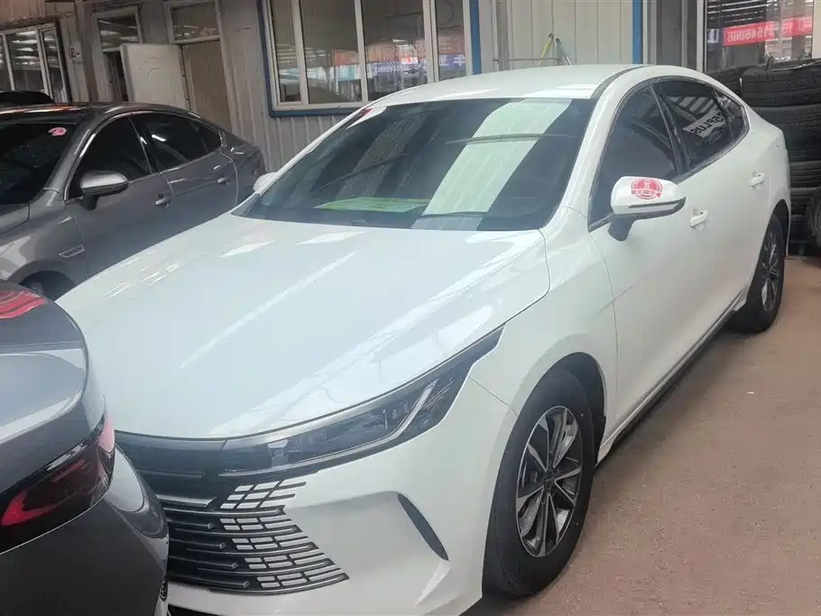 BYD Destroyer 05 2025 — фото 2