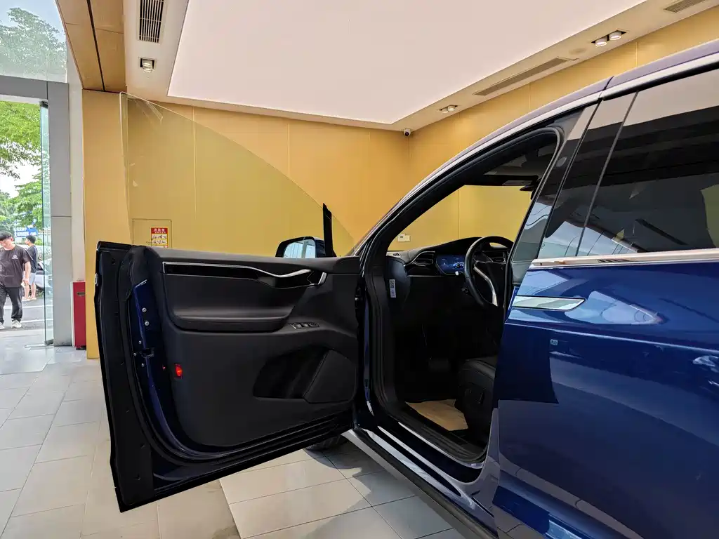 Tesla Model X 2017 — фото 8