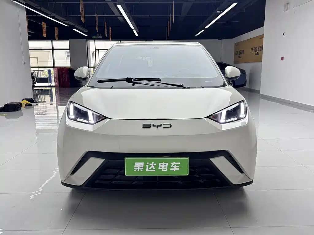 BYD Seagull 2024