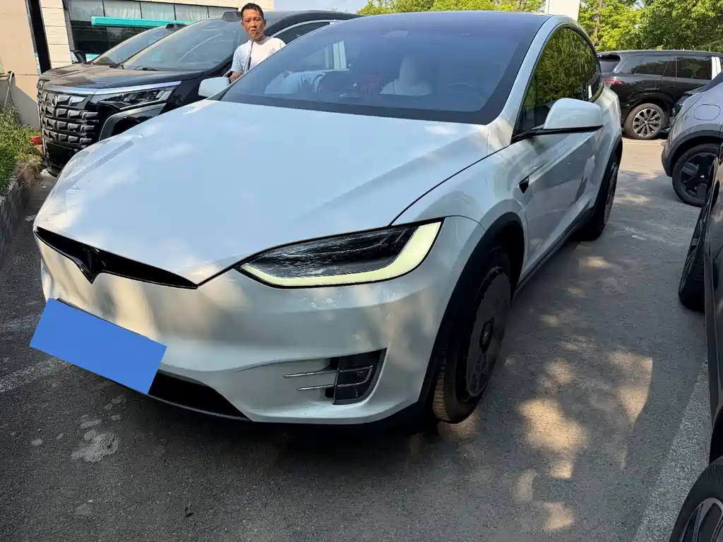 Tesla Model X 2020 — фото 1