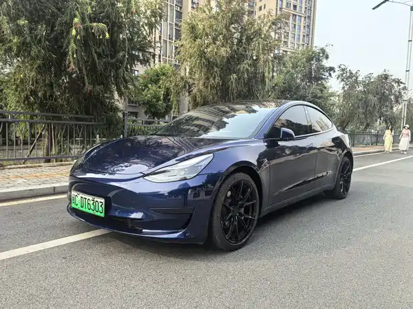 Tesla Model 3 2022
