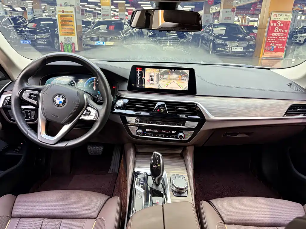 BMW 5 Series New Energy 2019