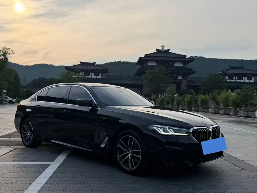 BMW 5 Series 2021