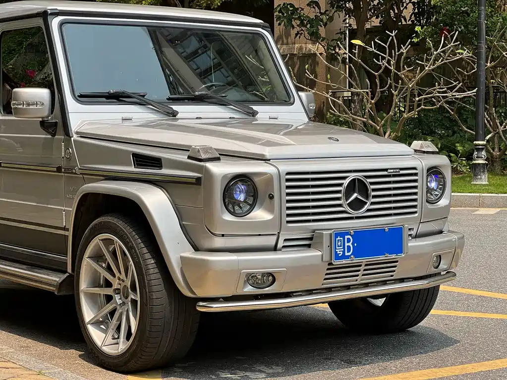 Mercedes-Benz G-Class AMG 2010 — фото 4