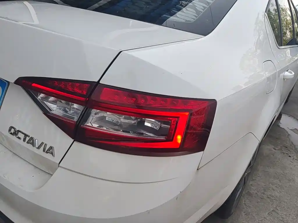 Skoda Octavia 2020 — фото 8