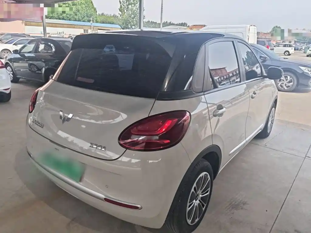 Wuling Bingo 2024