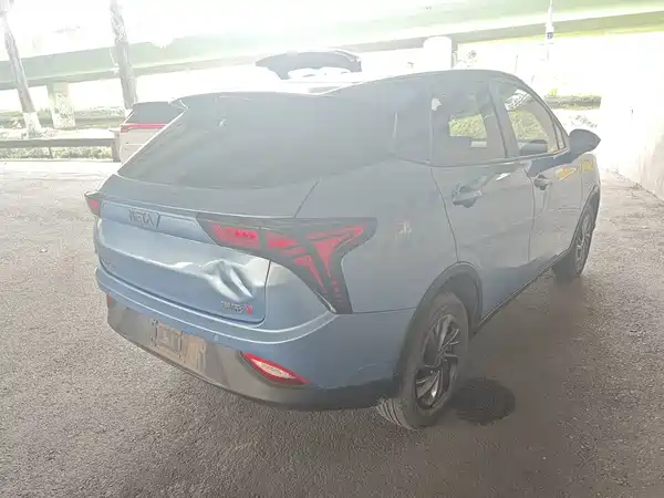 Neta V 2022