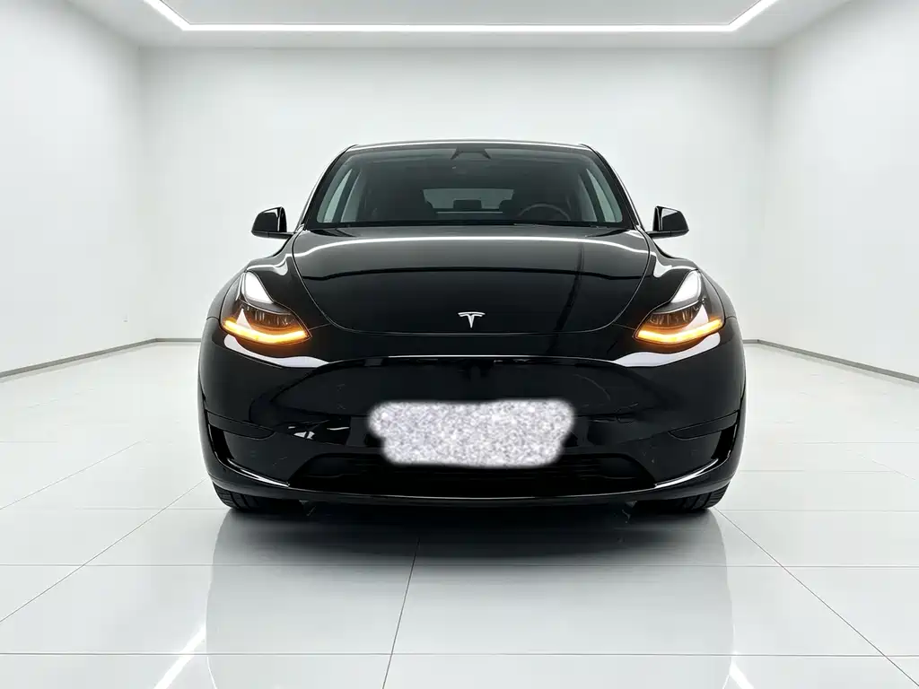 Tesla Model Y 2023 — фото 2