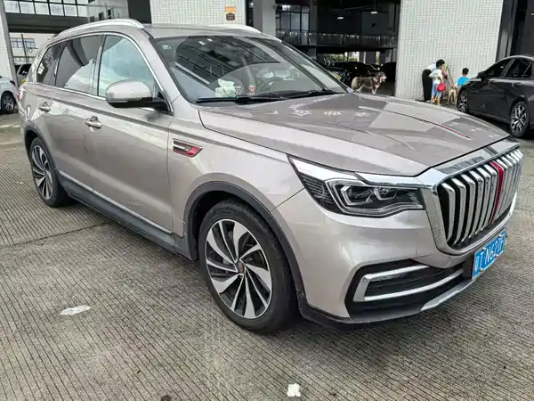 Hongqi HS7 2019