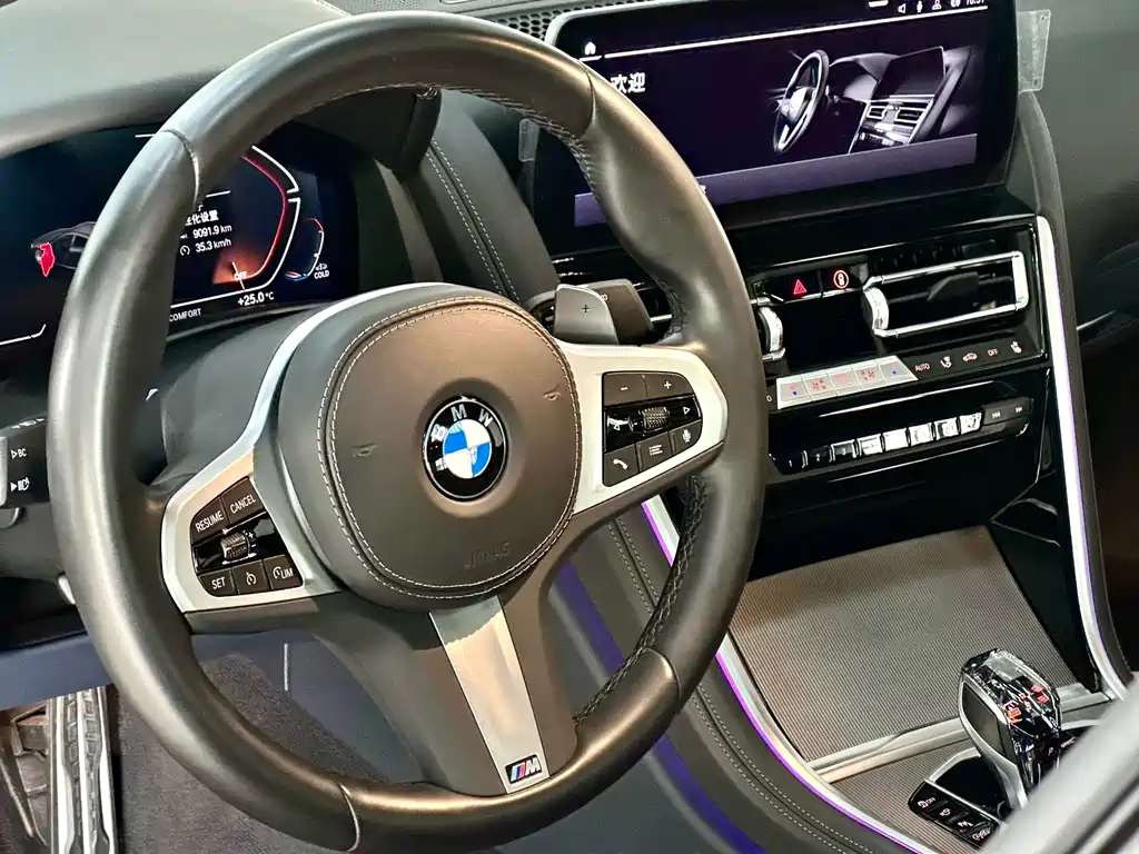 BMW 8 Series 2022 — фото 12