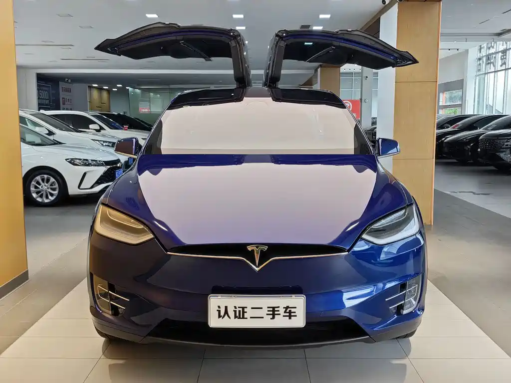 Tesla Model X 2017 — фото 4