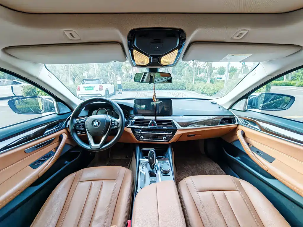 BMW 5 Series 2017 — фото 9