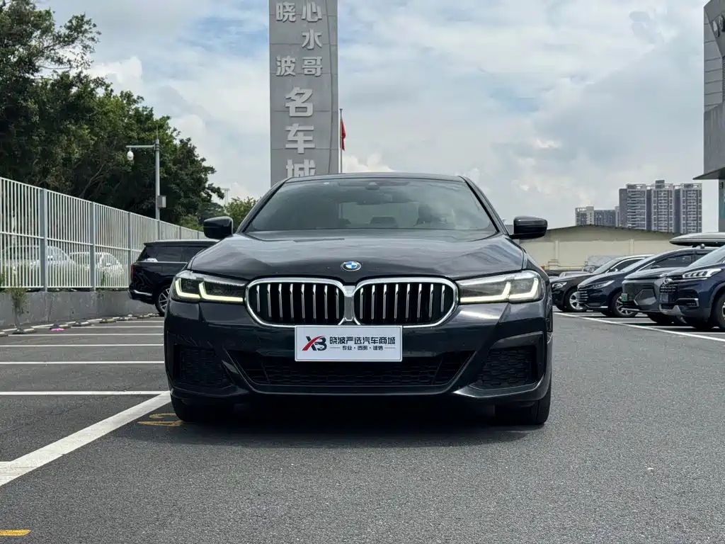 BMW 5 Series 2021