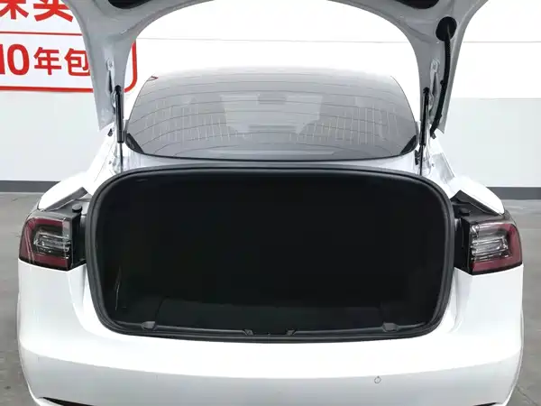 Tesla Model 3 2019