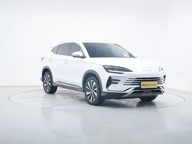 BYD PLUS New Energy 2023 — фото 3