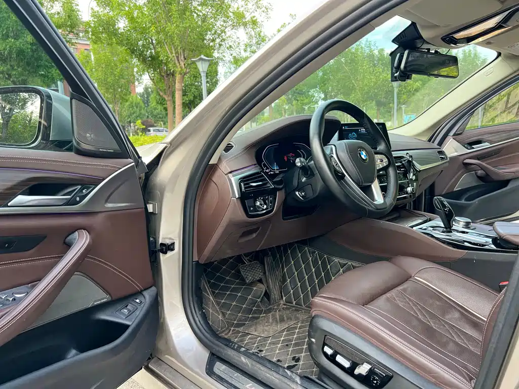 BMW 5 Series New Energy 2020