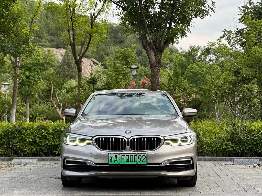 BMW 5 Series New Energy 2020