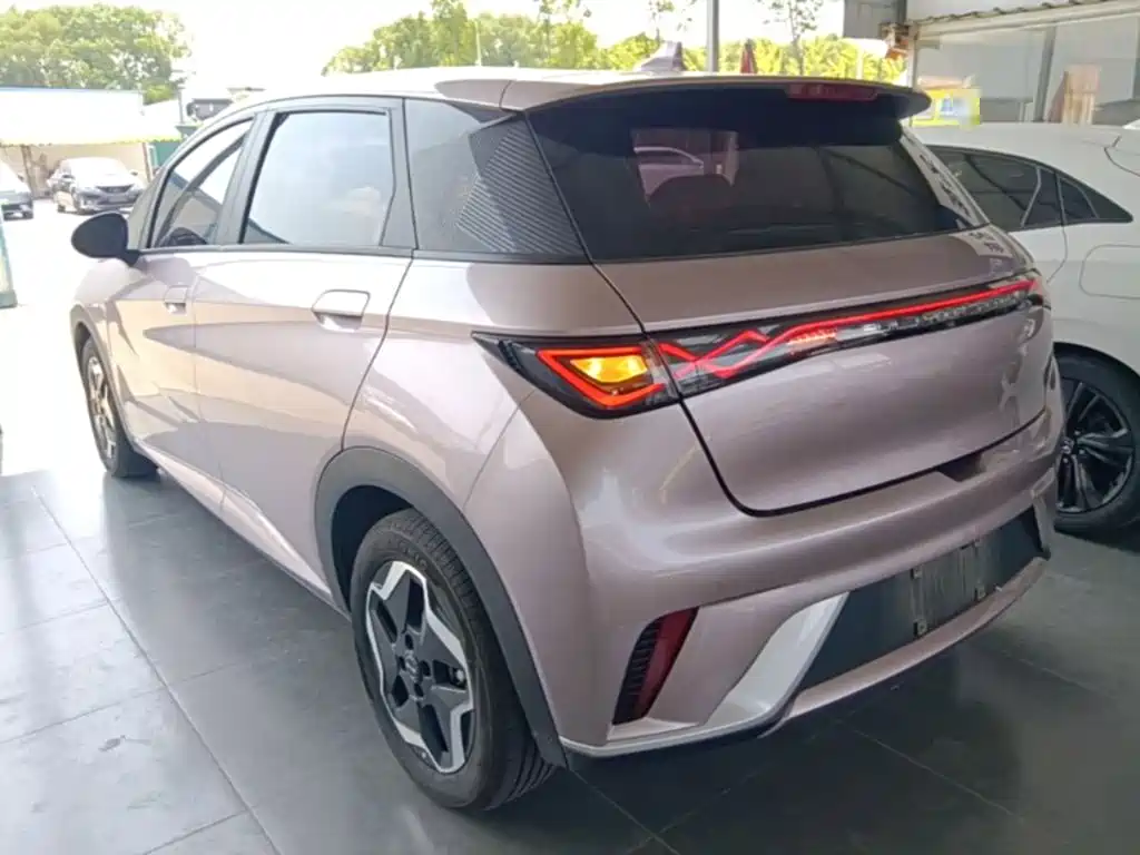 BYD Dolphin 2022