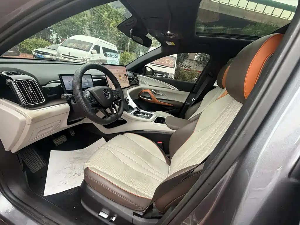 BYD Pro New Energy 2023 — фото 9