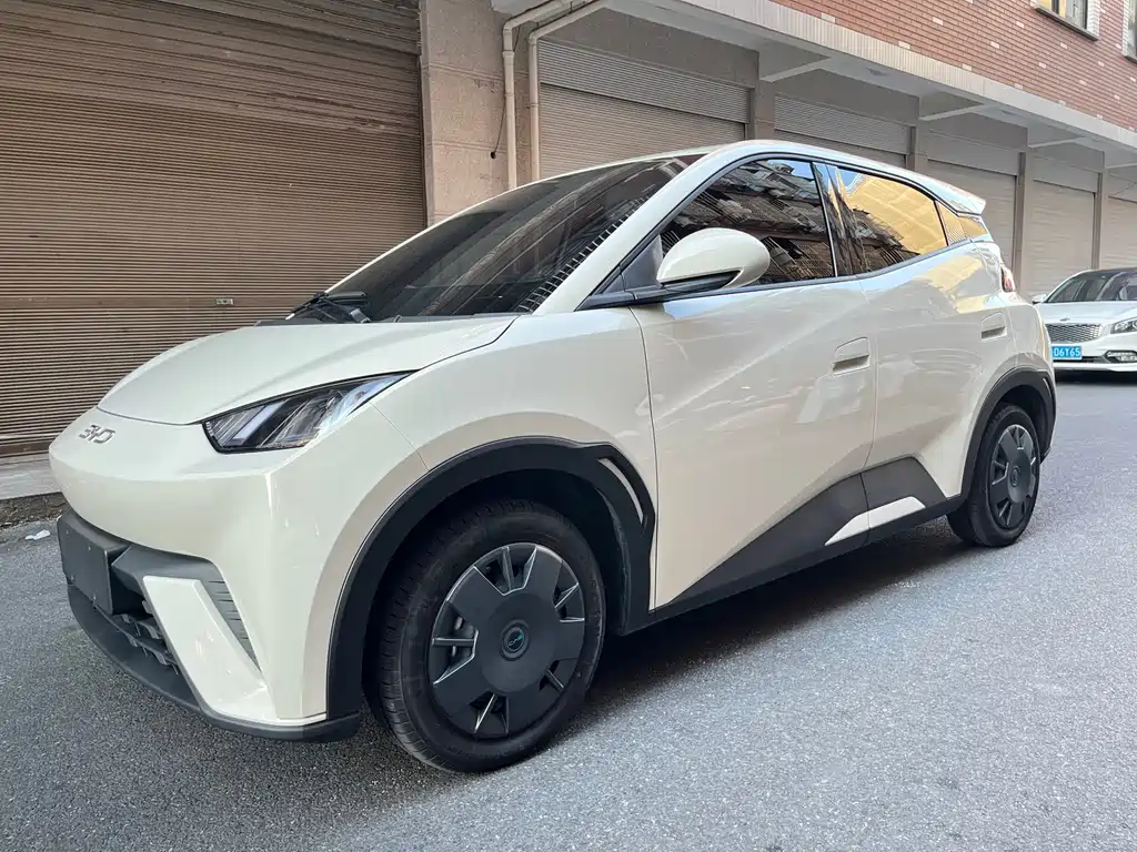 BYD Seagull 2025 — фото 1