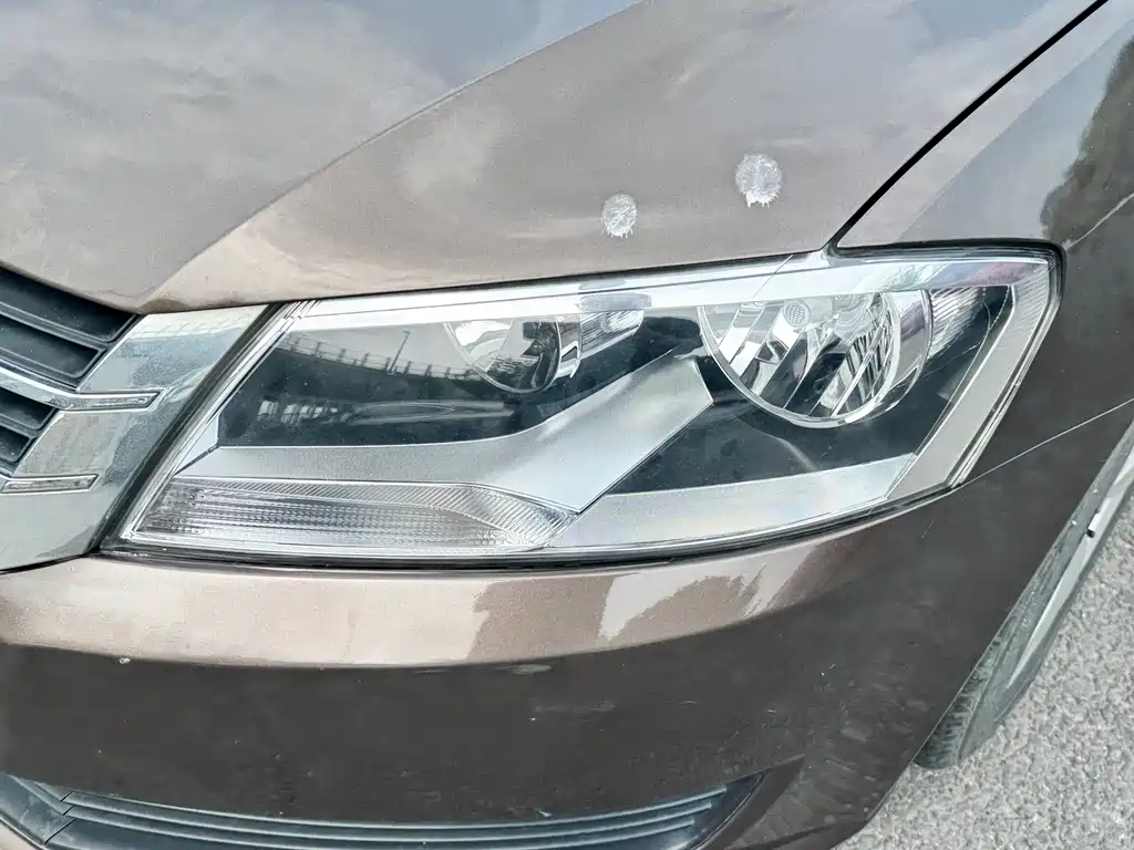 Volkswagen Gran Lavida 2014
