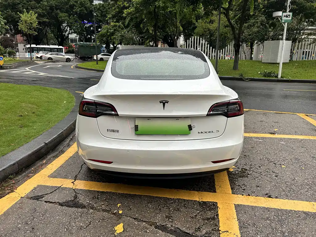 Tesla Model 3 2020