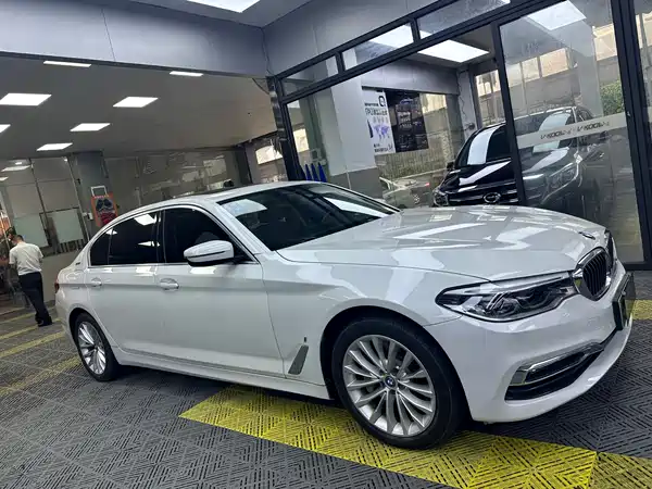 BMW 5 Series New Energy 2019